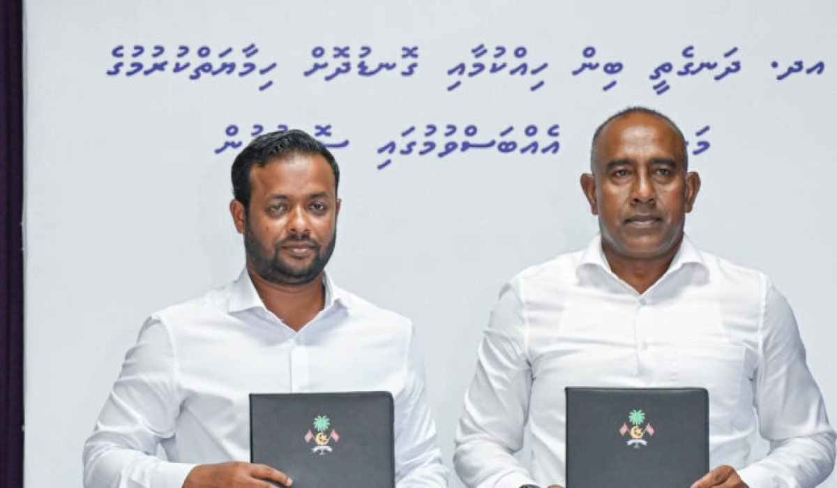 428232_e766580c-f_-700x700