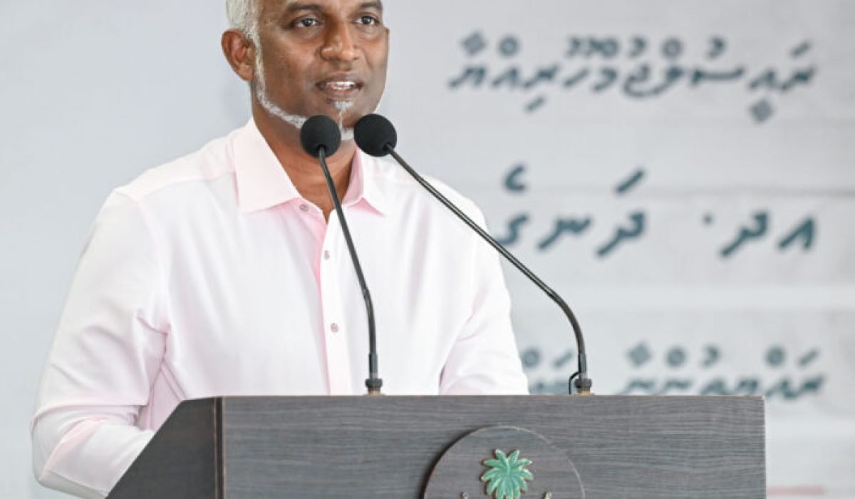 428245_daeed389-a_-700x700