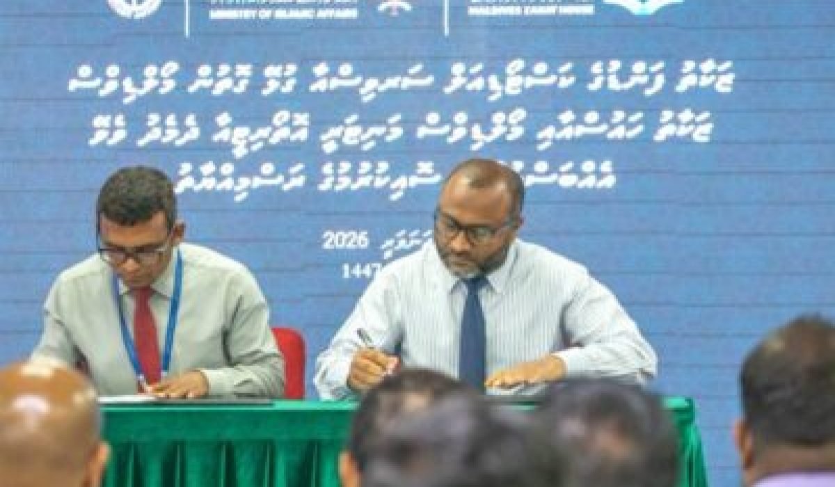 island-vegetation-shoreline-landscape