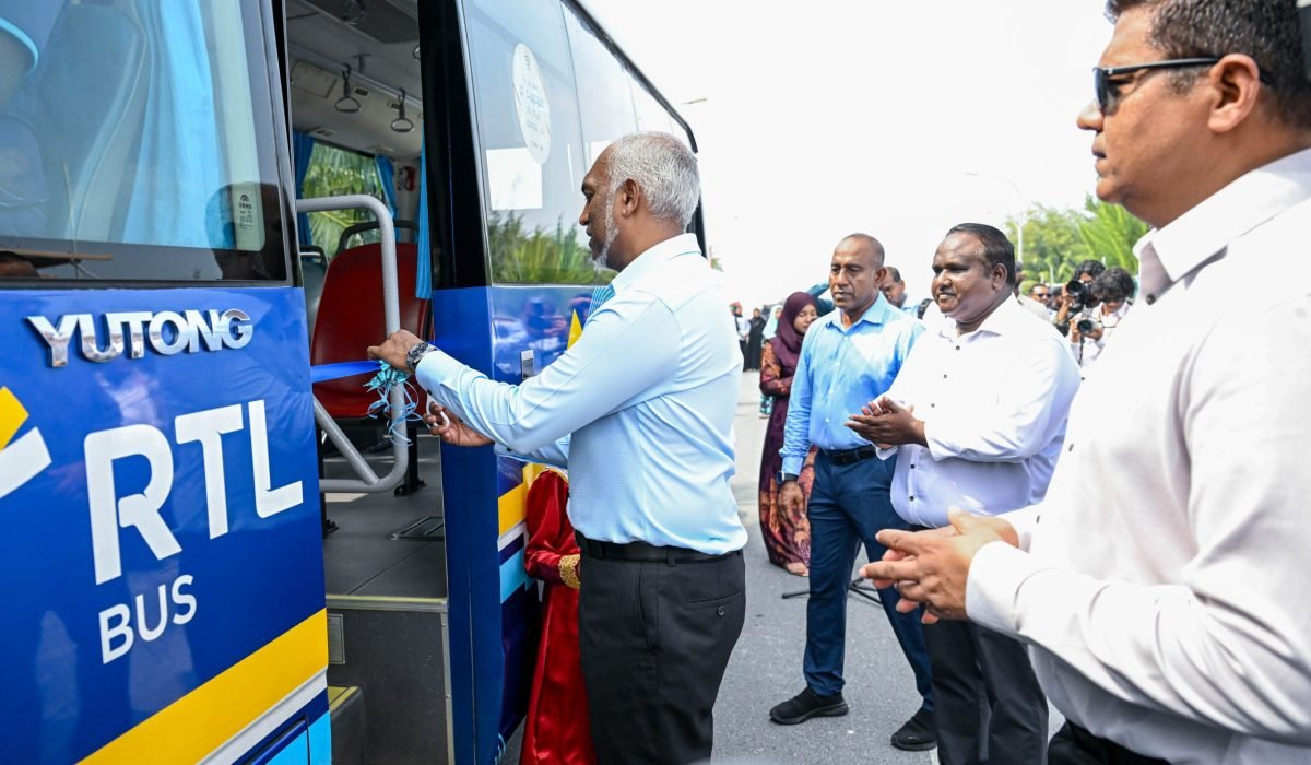 island-vegetation-shoreline-landscape