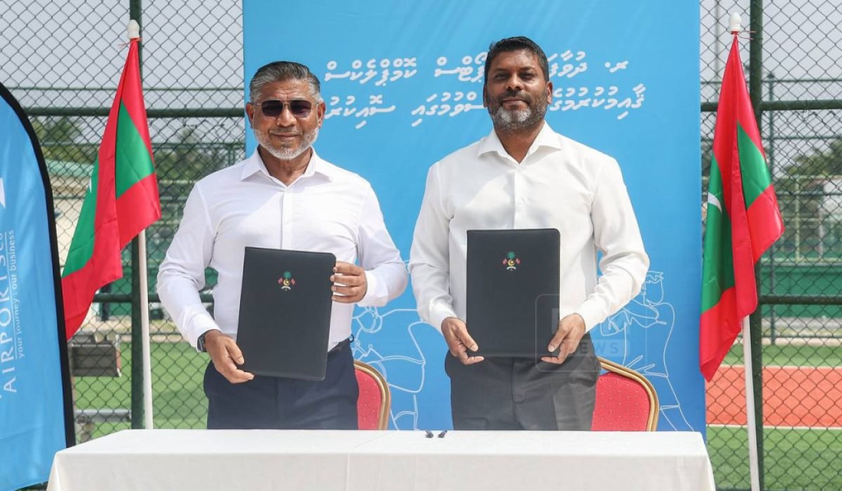 island-vegetation-shoreline-landscape