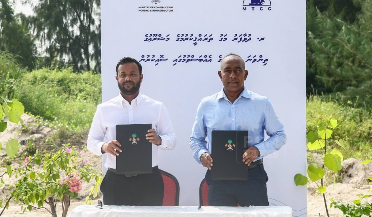 island-vegetation-shoreline-landscape