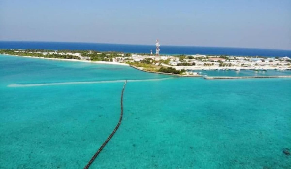 island-vegetation-shoreline-landscape