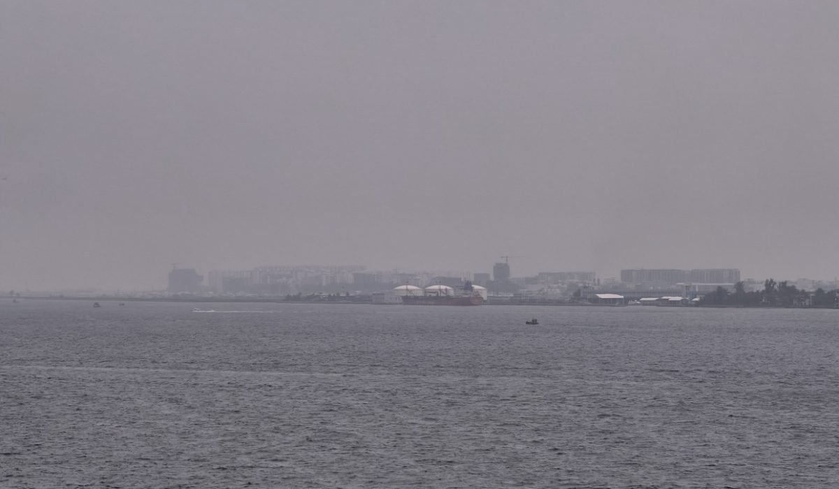island-vegetation-shoreline-landscape