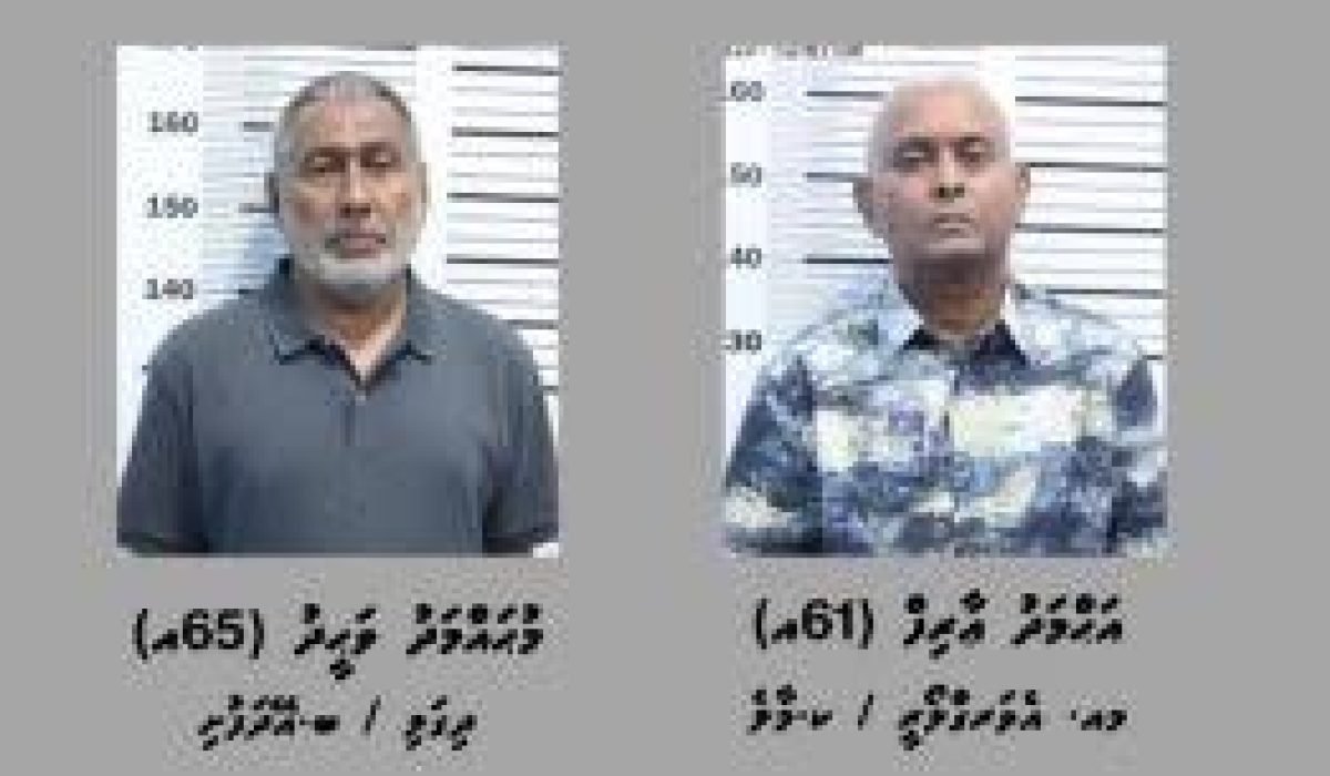 island-vegetation-shoreline-landscape