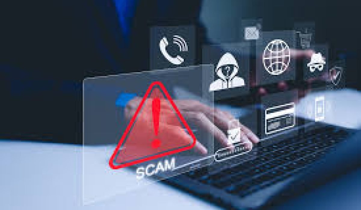 island-vegetation-shoreline-landscape