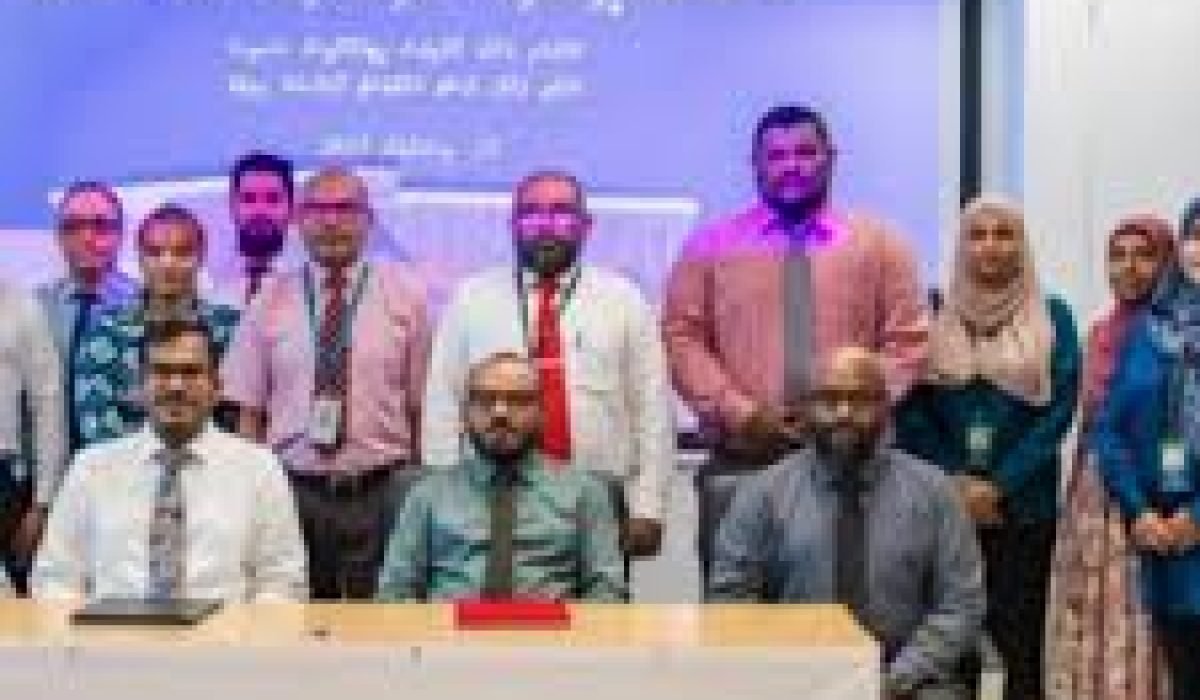 island-vegetation-shoreline-landscape