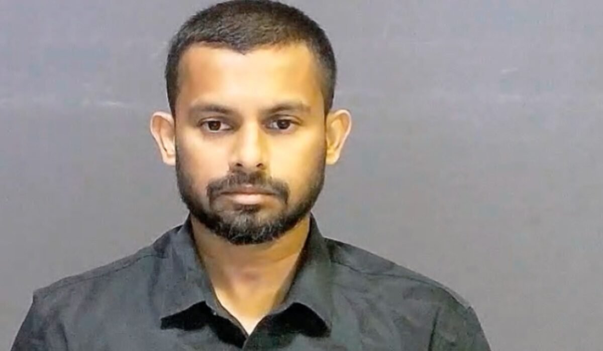 island-vegetation-shoreline-landscape