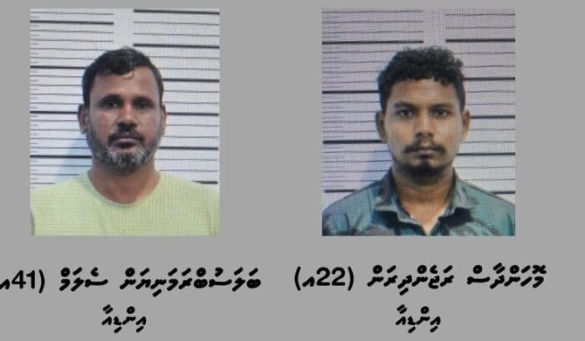 island-vegetation-shoreline-landscape