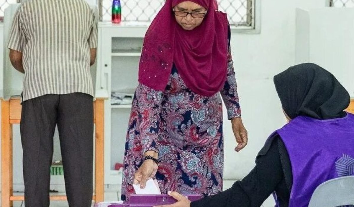 island-vegetation-shoreline-landscape