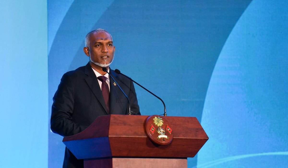 island-vegetation-shoreline-landscape