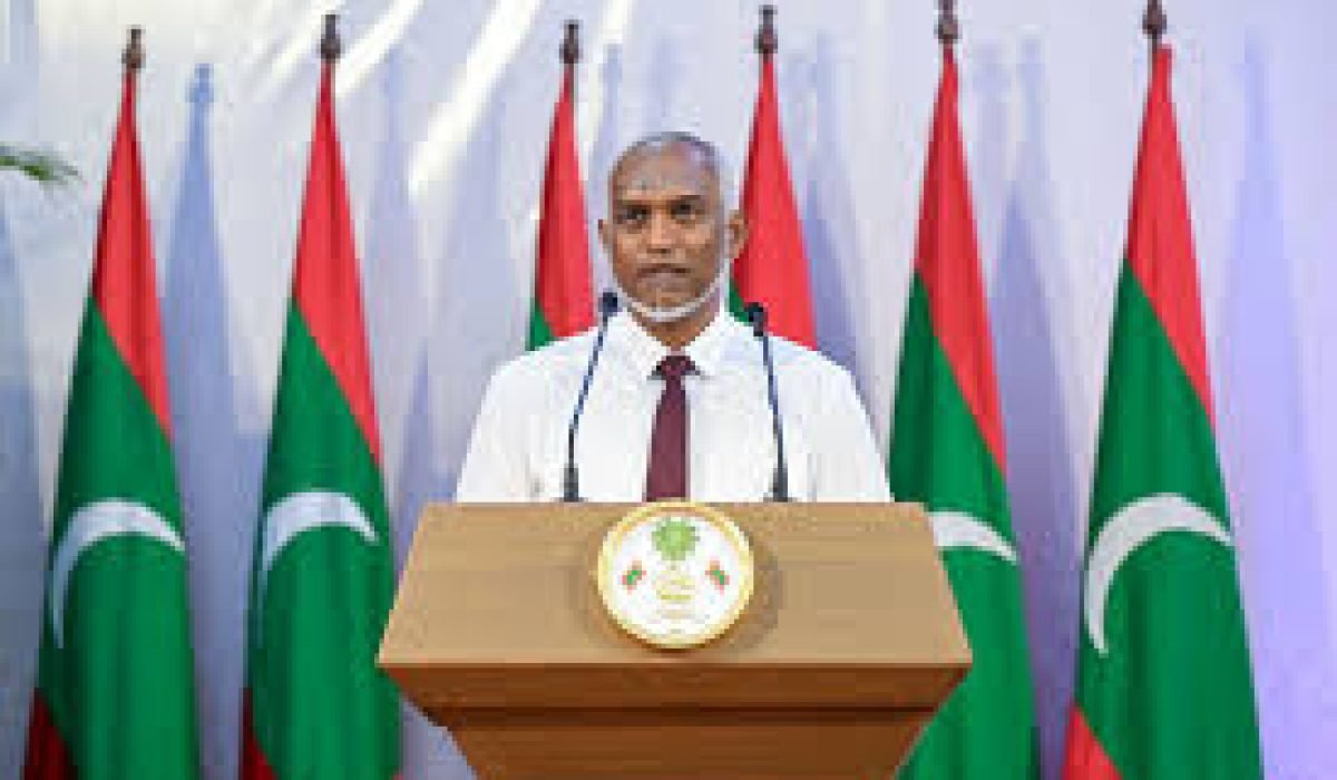 island-vegetation-shoreline-landscape