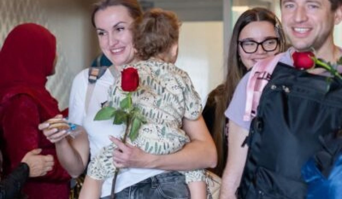 island-vegetation-shoreline-landscape