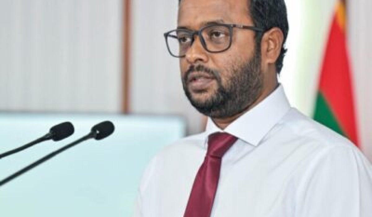 island-vegetation-shoreline-landscape