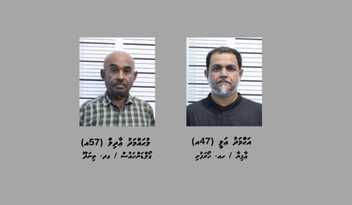 island-vegetation-shoreline-landscape