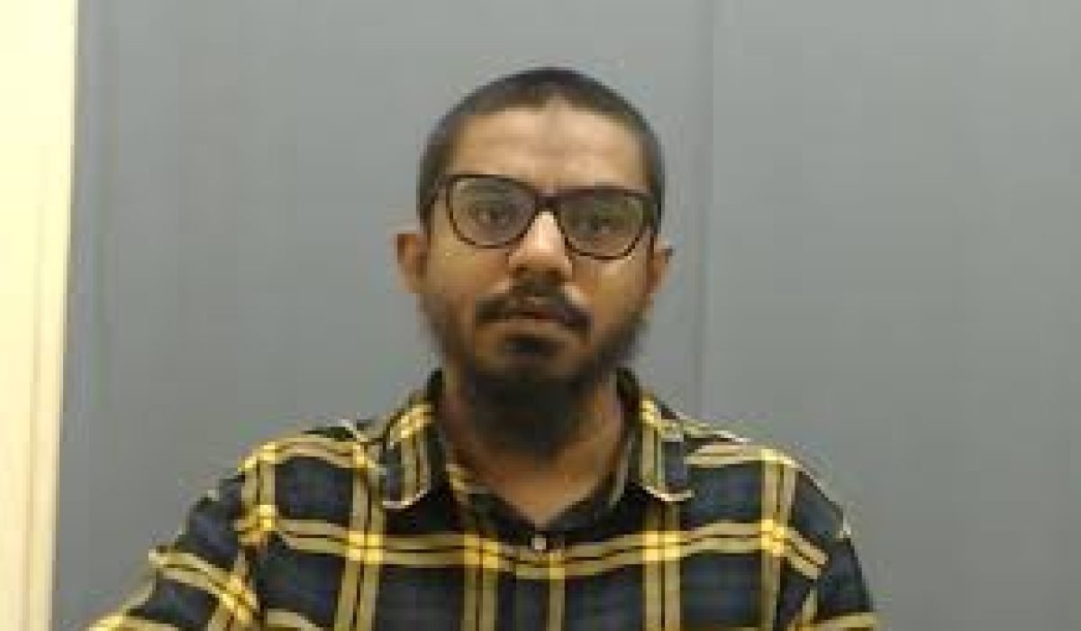 island-vegetation-shoreline-landscape