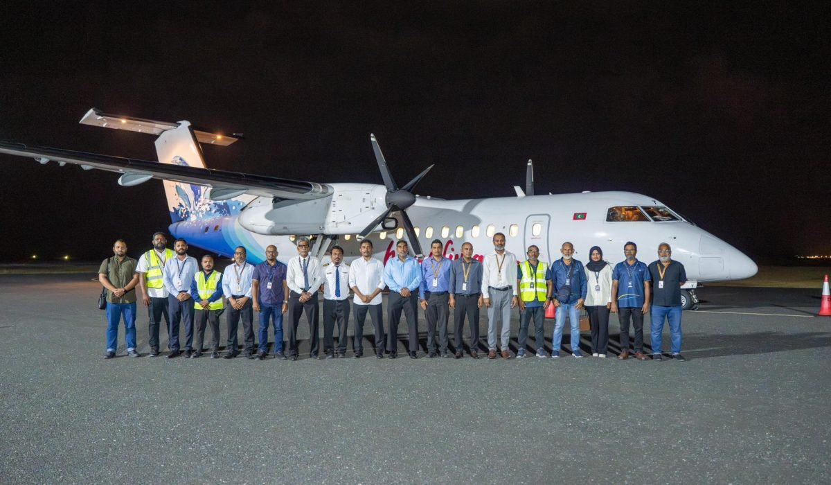 island-vegetation-shoreline-landscape