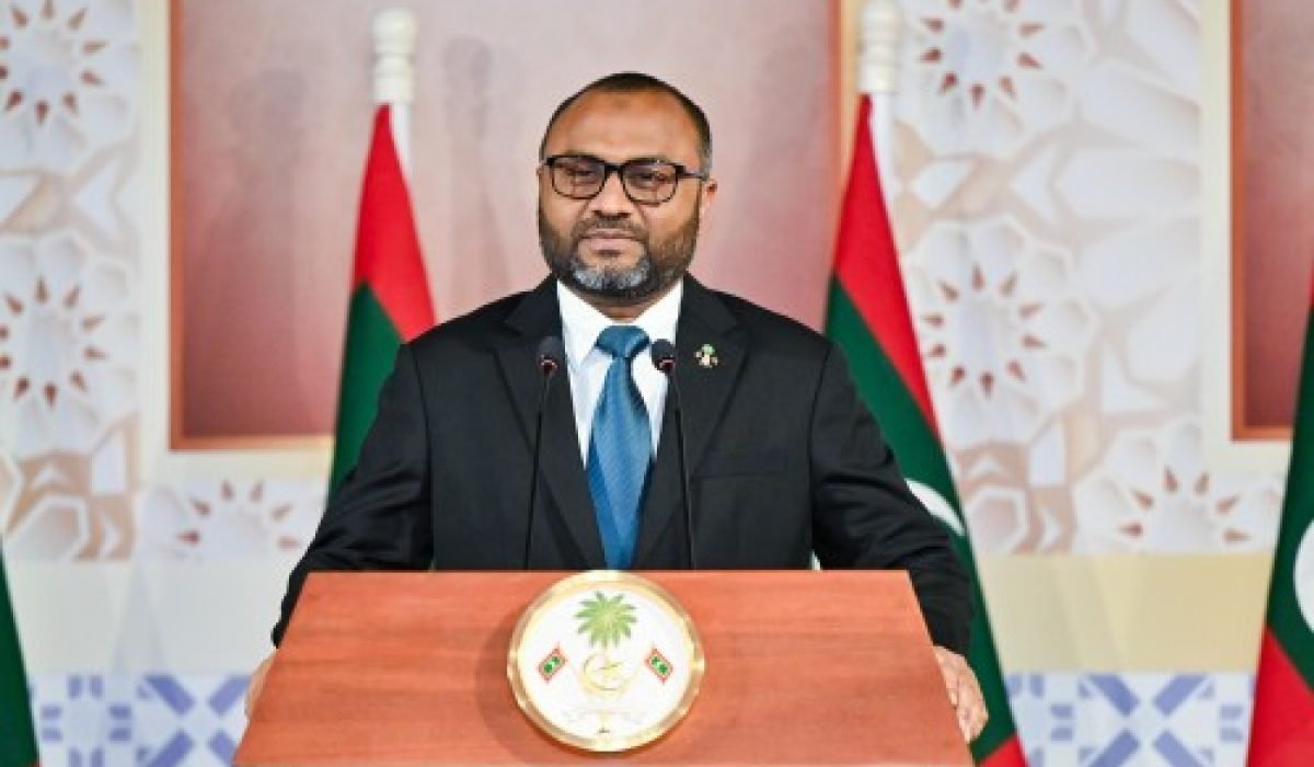 island-vegetation-shoreline-landscape