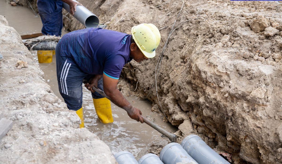 island-vegetation-shoreline-landscape