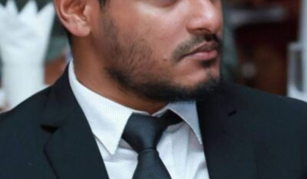 island-vegetation-shoreline-landscape