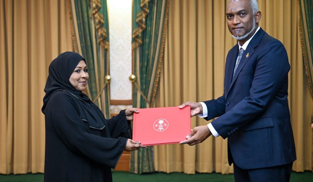 island-vegetation-shoreline-landscape